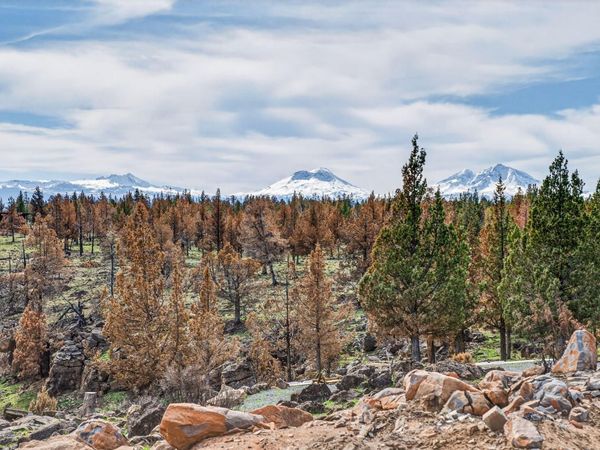 18070 Mountain View Road, Sisters, OR 97759