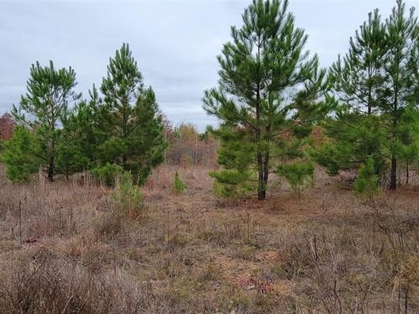 0 Jewell Gooch Road, Marshall, TX 75670