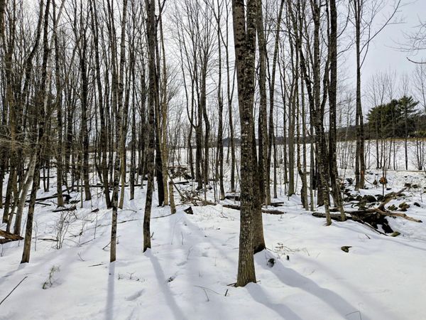 Lot 26 Canton Mountain Road, Jay, ME 04239