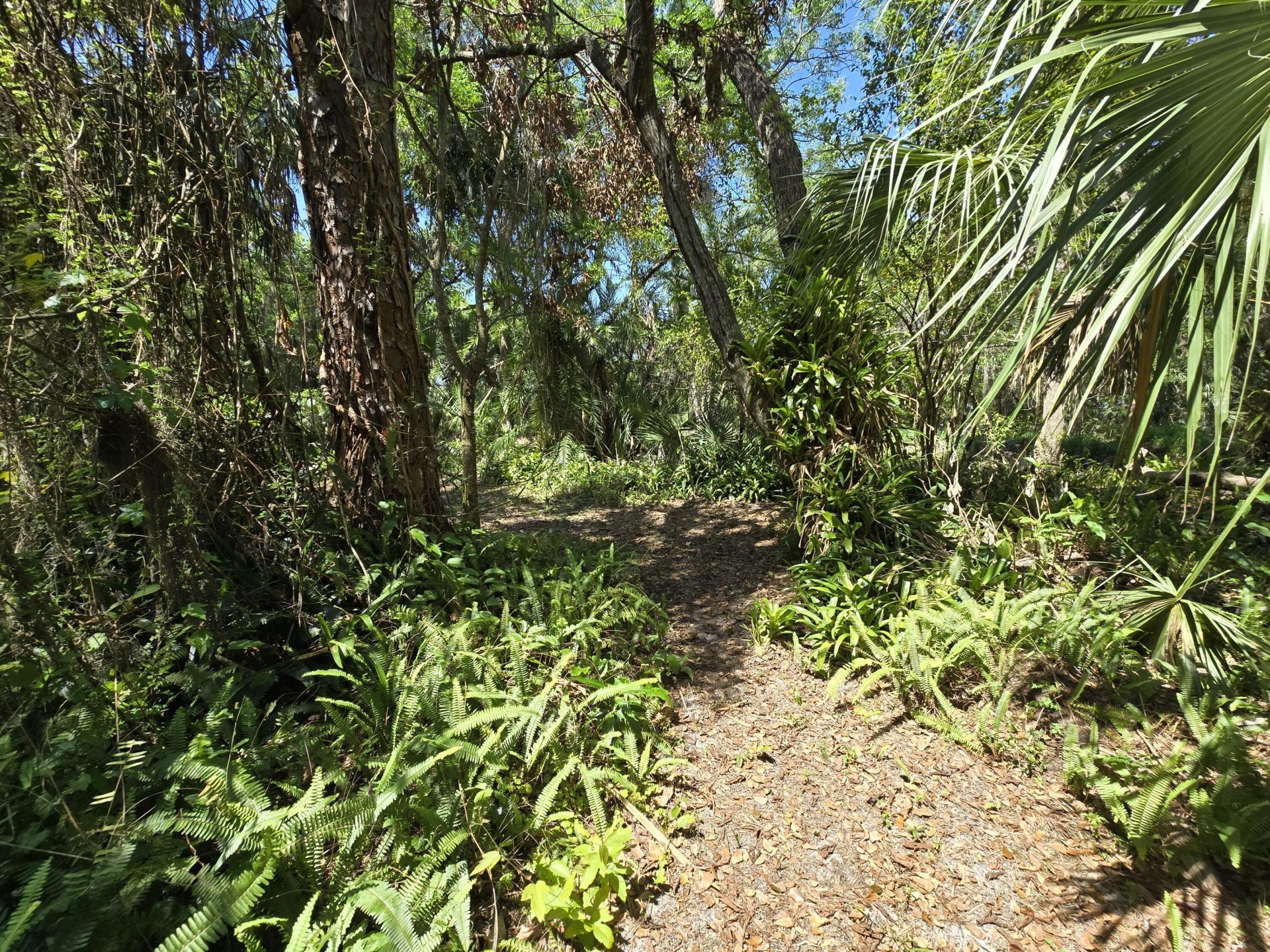 144 N Elm Street, Fellsmere, FL 32948 Photo