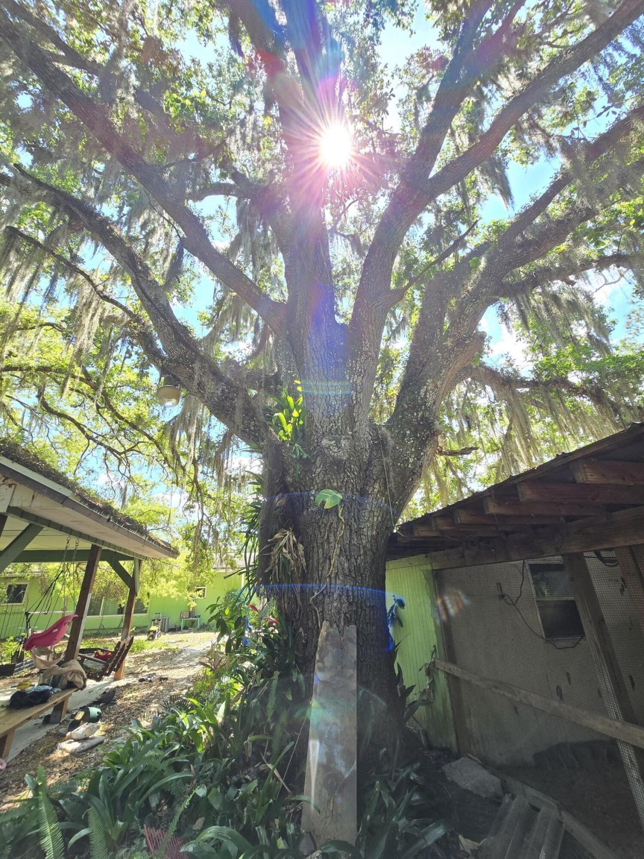 144 N Elm Street, Fellsmere, FL 32948 Photo