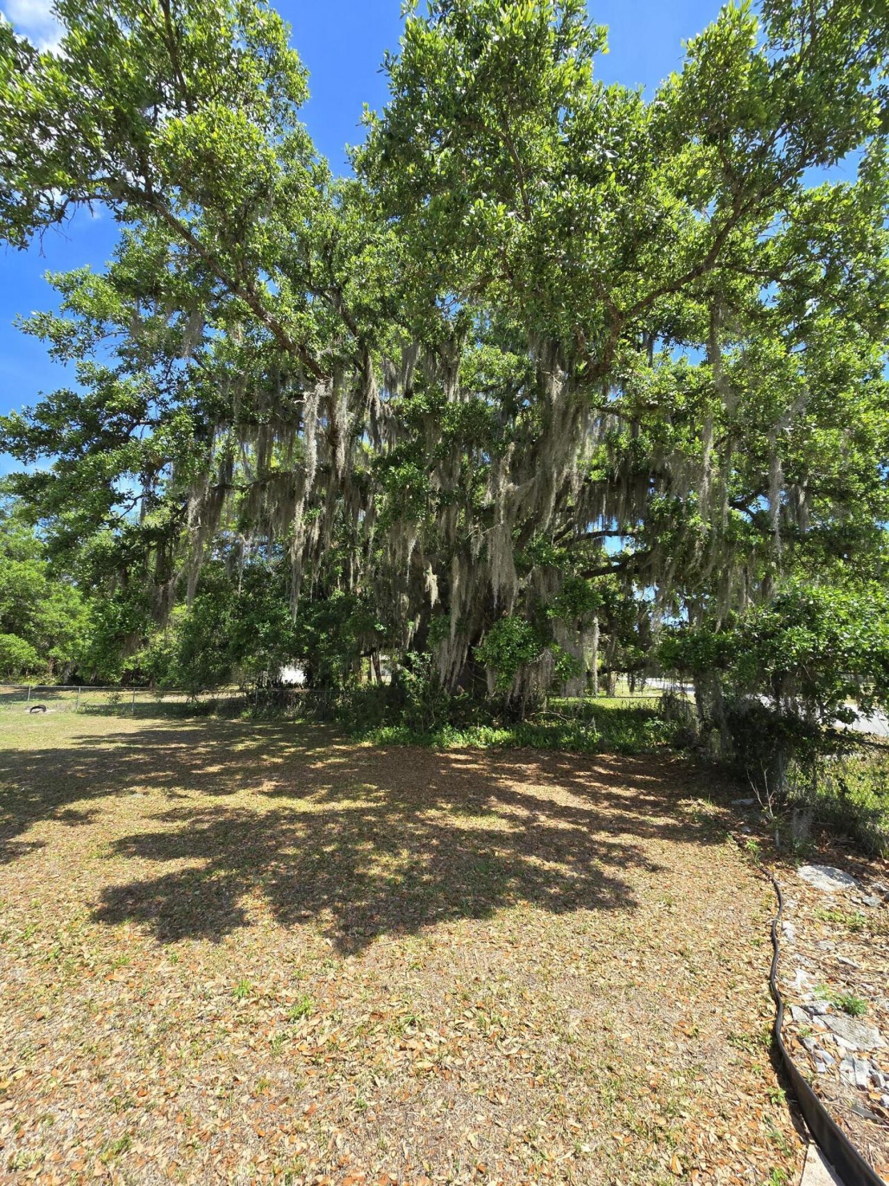 144 N Elm Street, Fellsmere, FL 32948 Photo