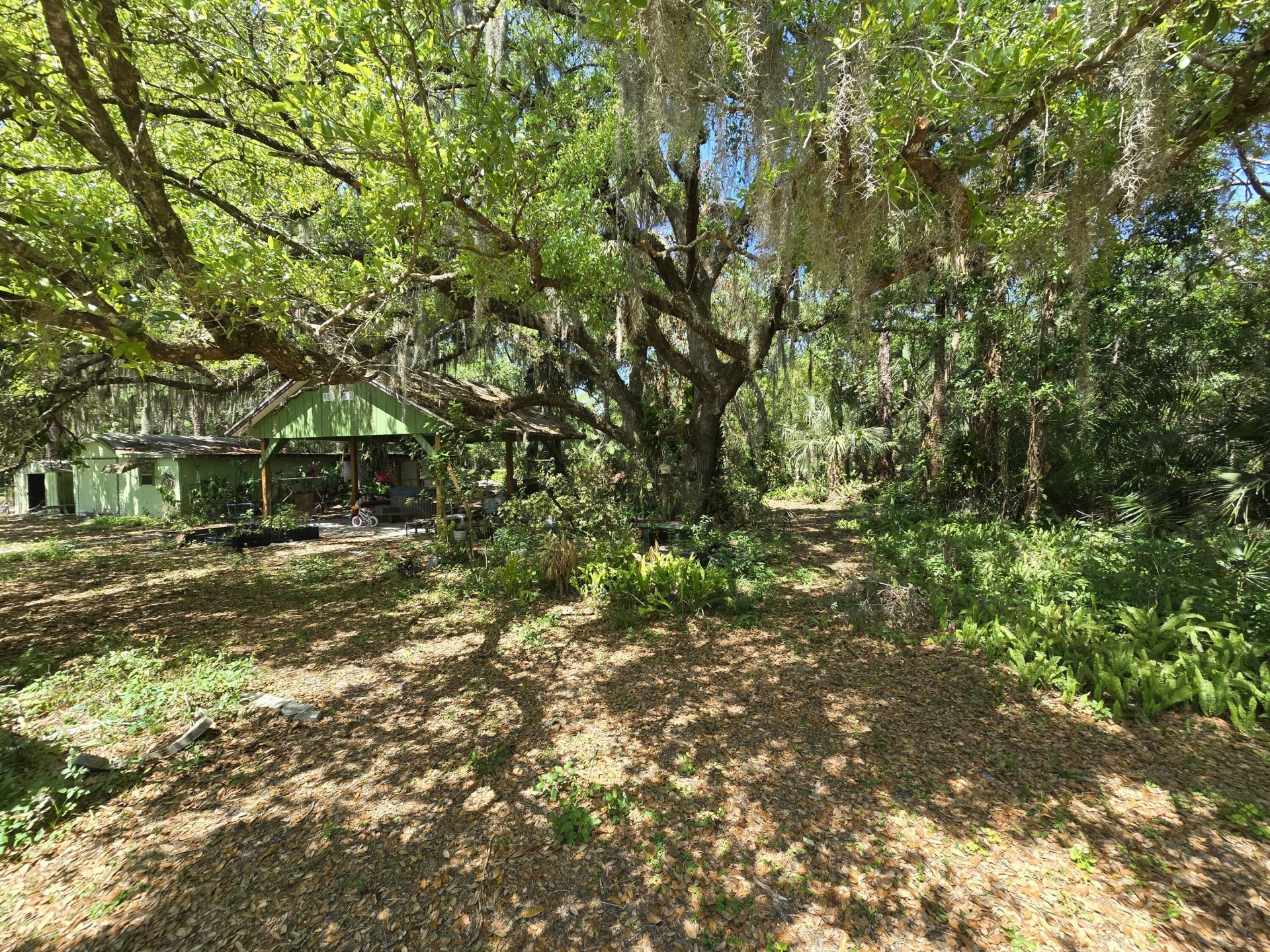 144 N Elm Street, Fellsmere, FL 32948 Photo