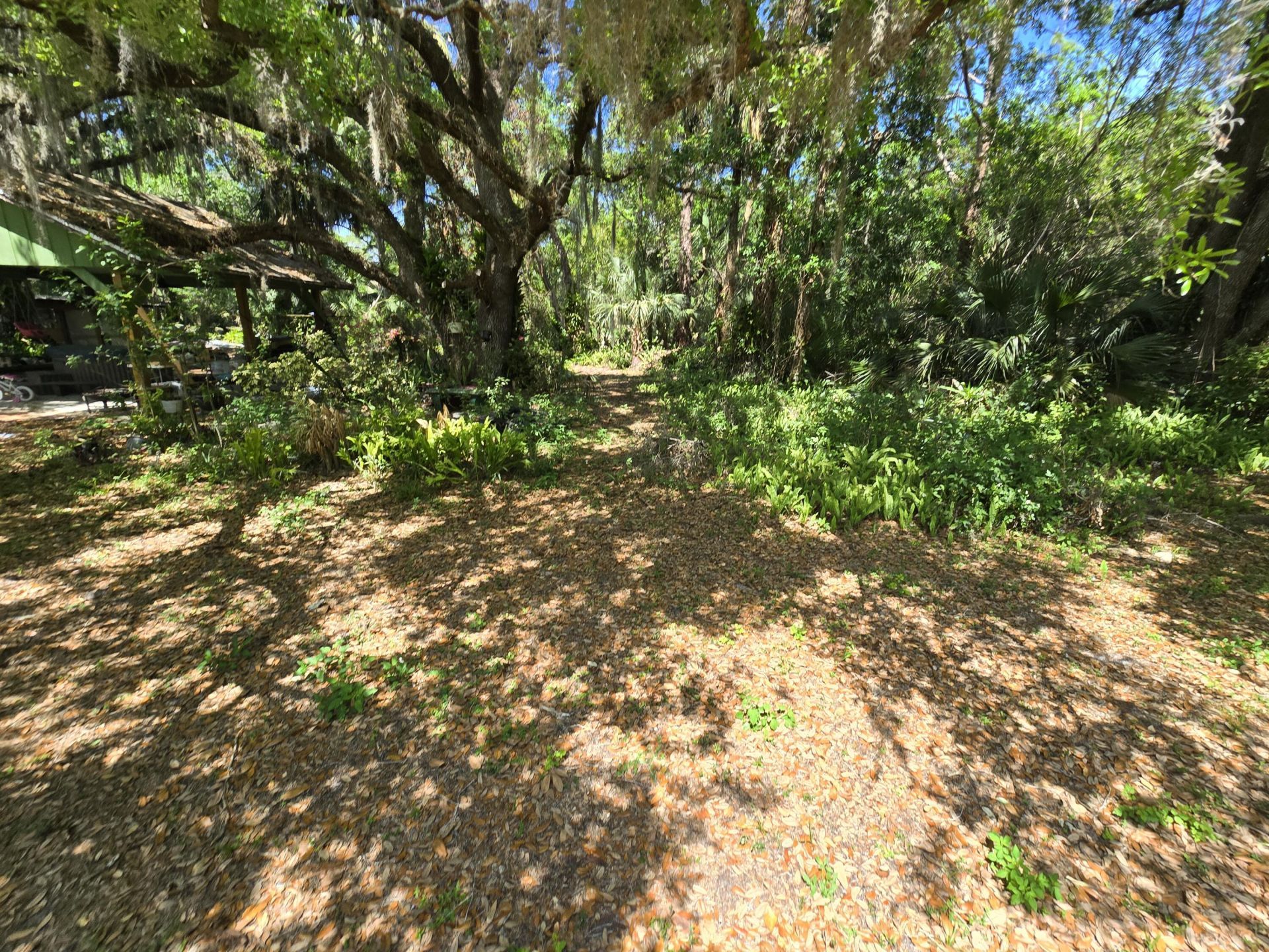 144 N Elm Street, Fellsmere, FL 32948 Photo