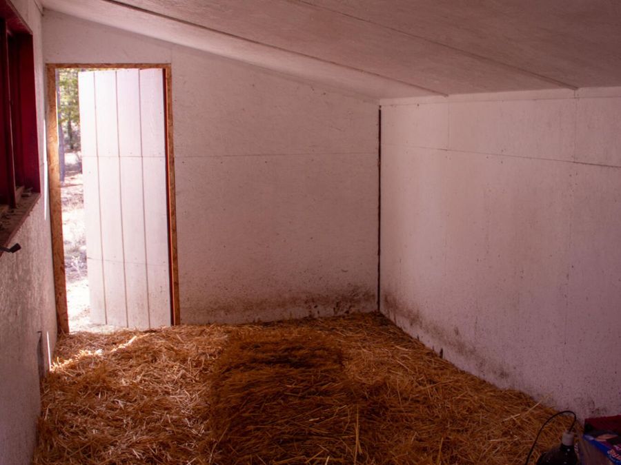 Property Image 38