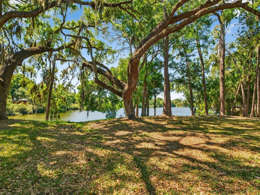 Property Image 50
