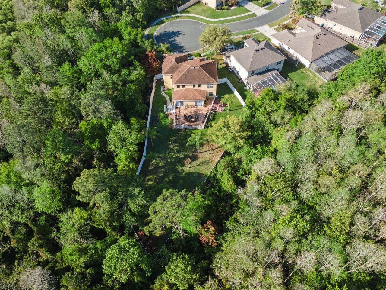 2606 Royal Fern Place, Kissimmee, FL 34758 Photo