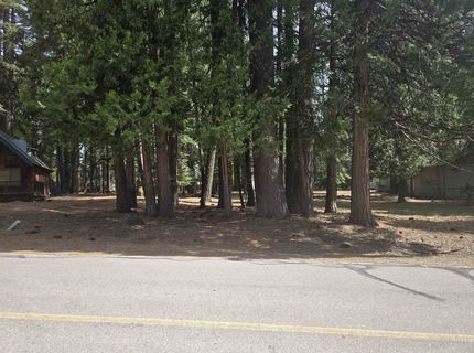716 Conifer Trail, Lake Almanor, CA 96137 Photo