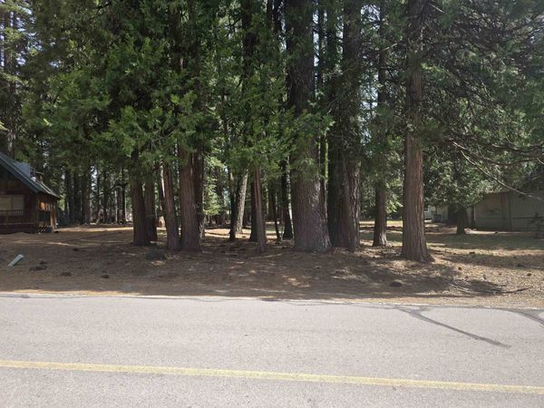 716 Conifer Trail, Lake Almanor, CA 96137