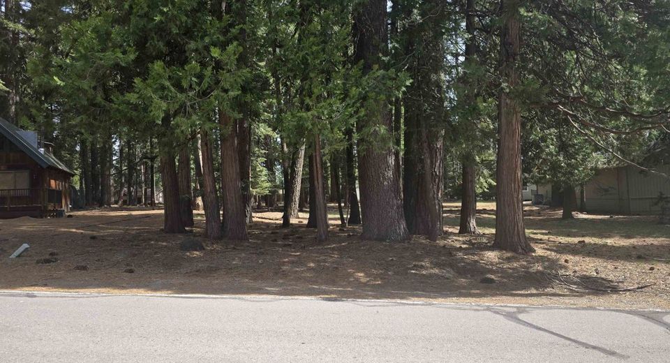 716 Conifer Trail, Lake Almanor, CA 96137 Photo