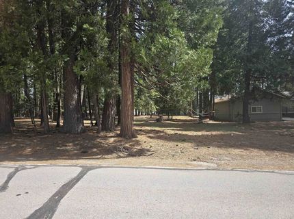 716 Conifer Trail, Lake Almanor, CA 96137 Photo