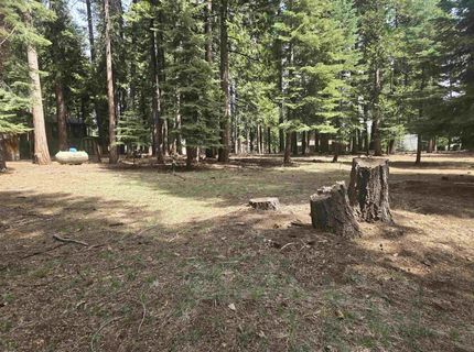 716 Conifer Trail, Lake Almanor, CA 96137 Photo