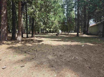 716 Conifer Trail, Lake Almanor, CA 96137 Photo