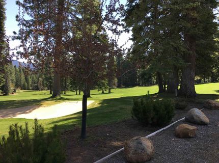 716 Conifer Trail, Lake Almanor, CA 96137 Photo