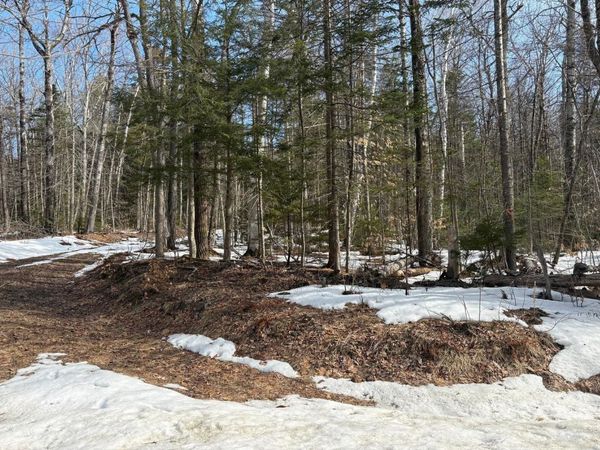 360 Dorman Road, Andover, VT 05143