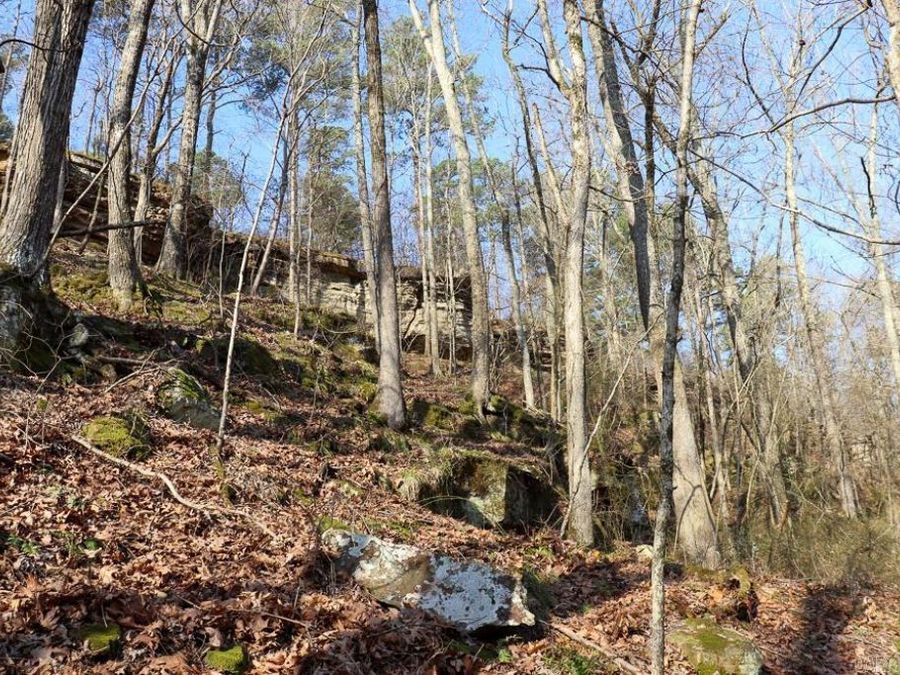 Property Image 37