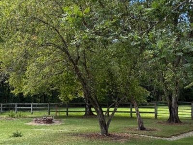 4007 Durst Clagg Road, Cortland, OH 44410 Photo 39