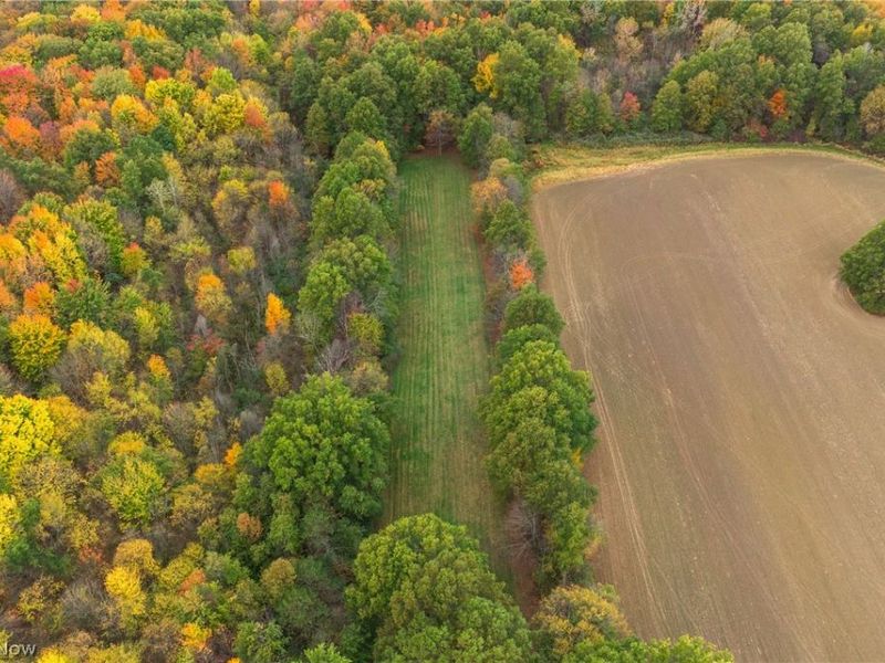 4007 Durst Clagg Road, Cortland, OH 44410 Photo 42