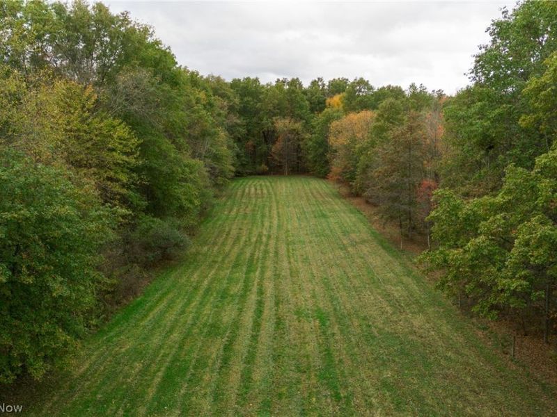 4007 Durst Clagg Road, Cortland, OH 44410 Photo 43