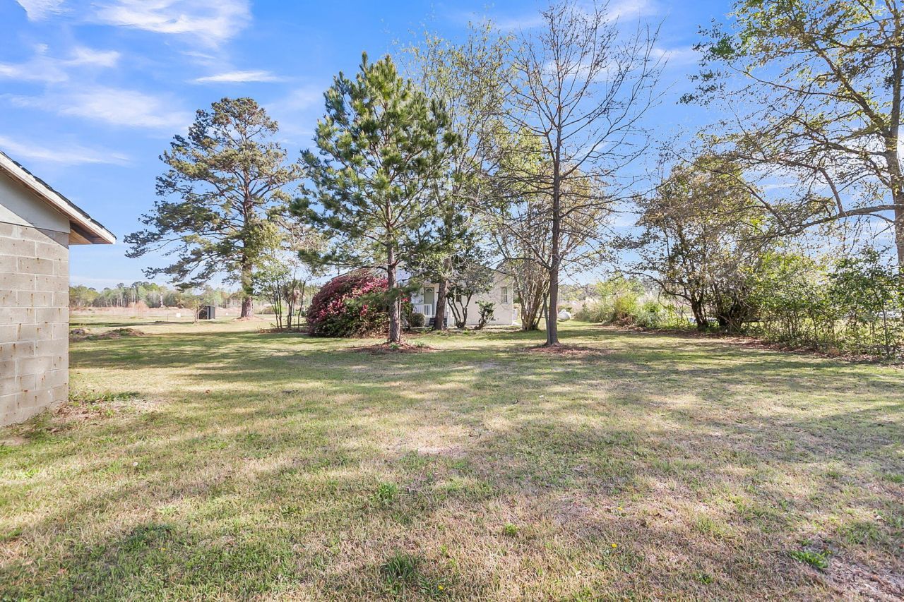 153 Davis Terrace Photo 42