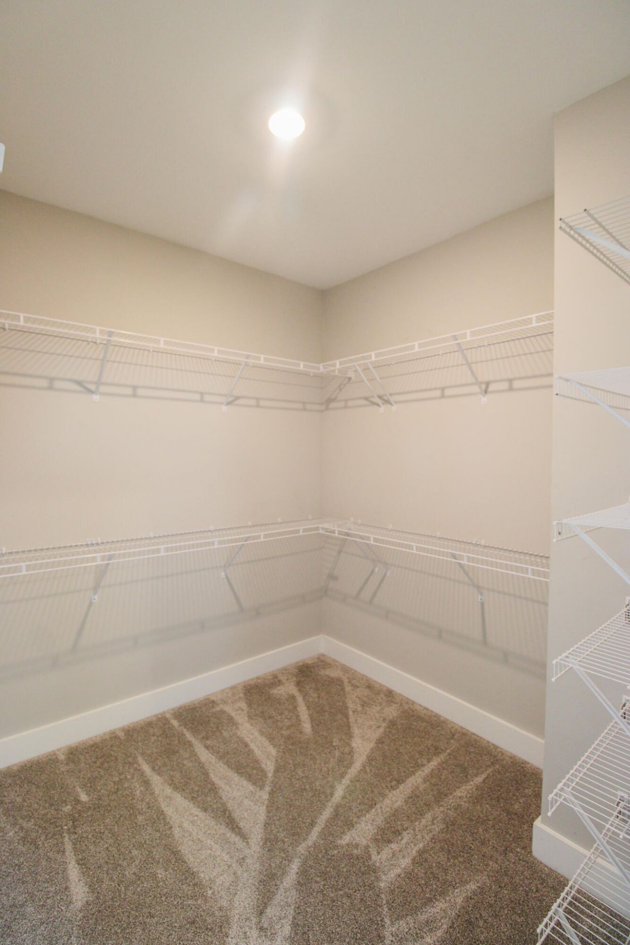 328 Parish Farms Drive Photo 20