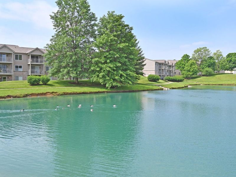 1888 Mimosa Trail, Unit 304, Florence, KY 41042 Photo 39