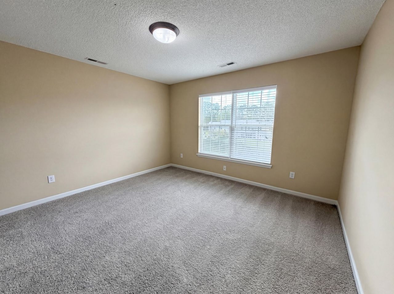 147 Lake Jogassee Drive Photo 14