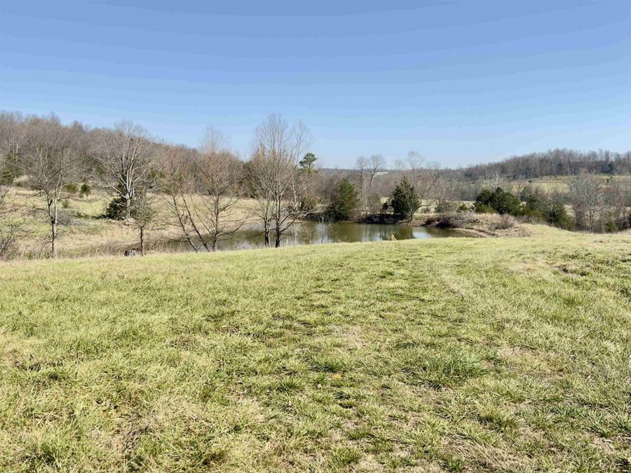 Property Image 38