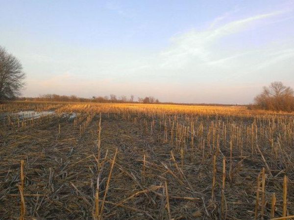 TBD 16-005-0102 Mille Lacs County, Princeton, MN 55371