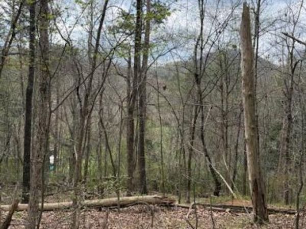 151 Hennessey Mtn / Brisk Way, Cosby, TN 37722