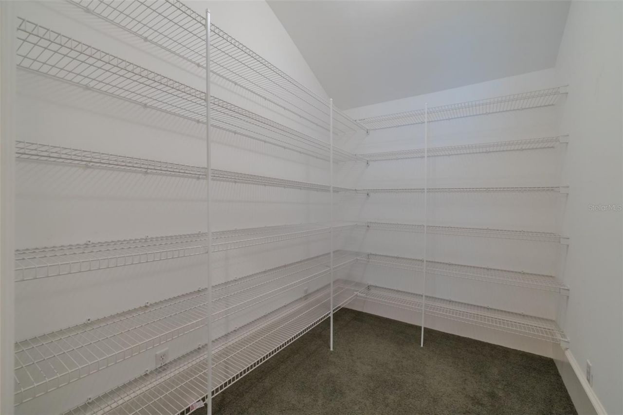 1816 S Dover Road, Dover, FL 33527 Photo