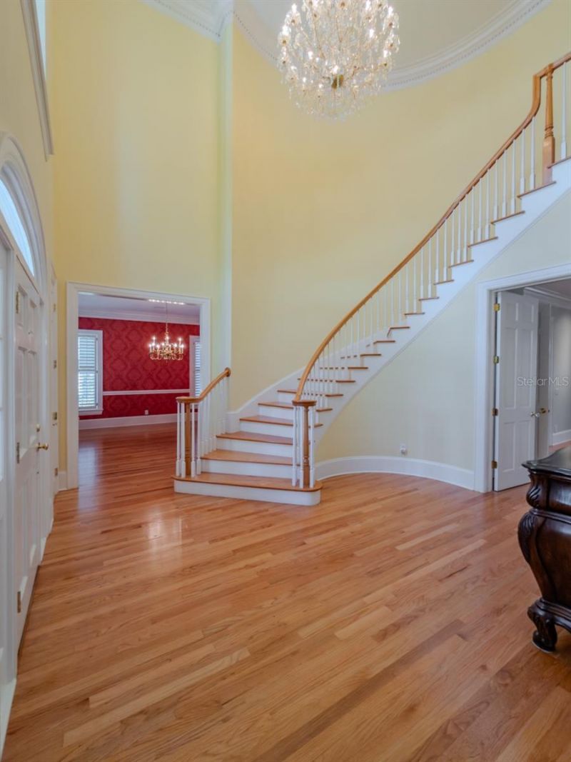 1816 S Dover Road, Dover, FL 33527 Photo