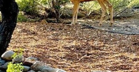 80 Bobcat Drive, Reno, NV 89523 Photo