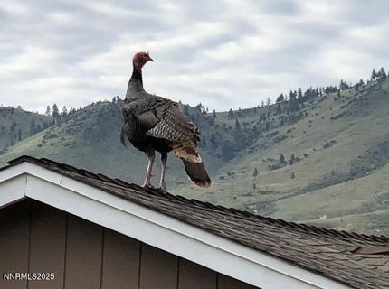 80 Bobcat Drive, Reno, NV 89523 Photo