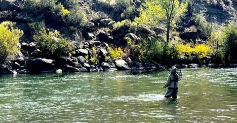 80 Bobcat Drive, Reno, NV 89523 Photo