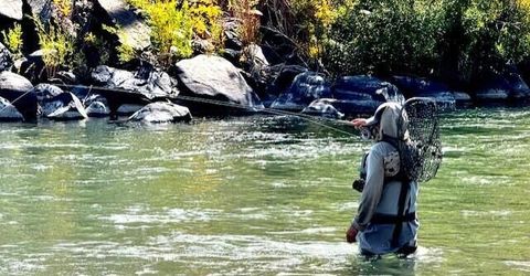 80 Bobcat Drive, Reno, NV 89523 Photo