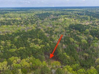 0 Busters Paradise Lane, Cordesville, SC 29434