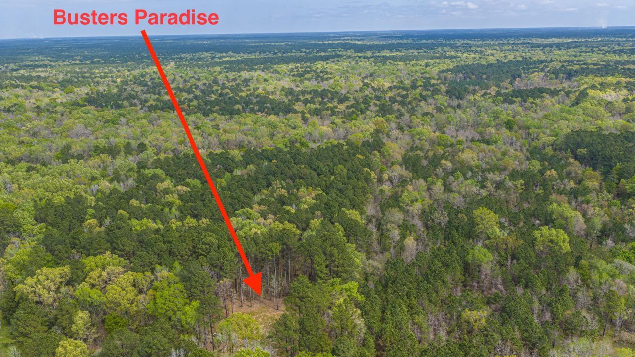 0 Busters Paradise Lane Photo 10