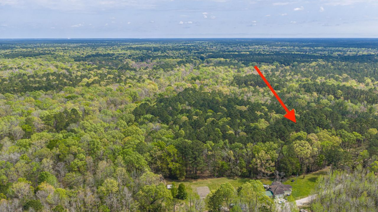 0 Busters Paradise Lane Photo 12