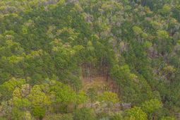 0 Busters Paradise Lane photo 4