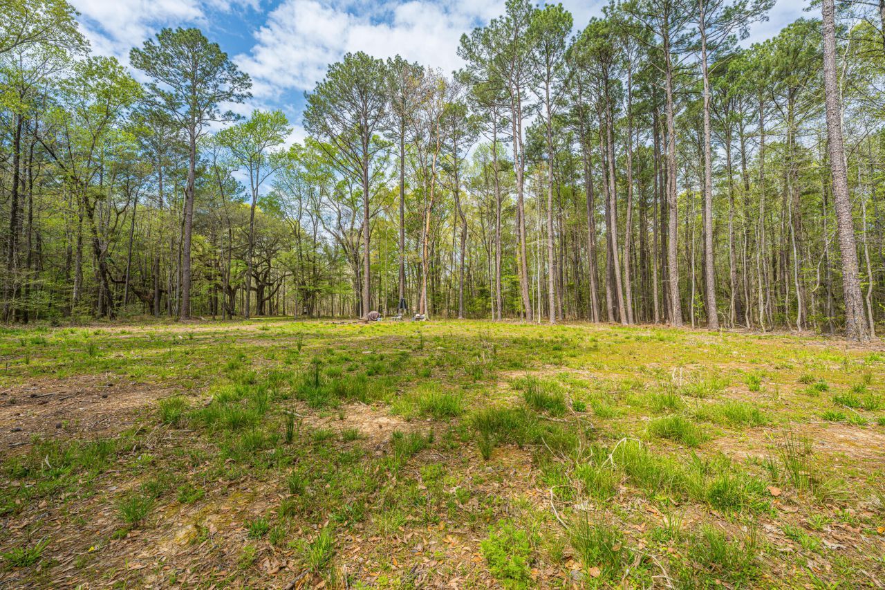 0 Busters Paradise Lane Photo 4