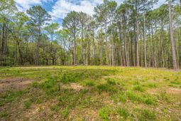 0 Busters Paradise Lane photo 4