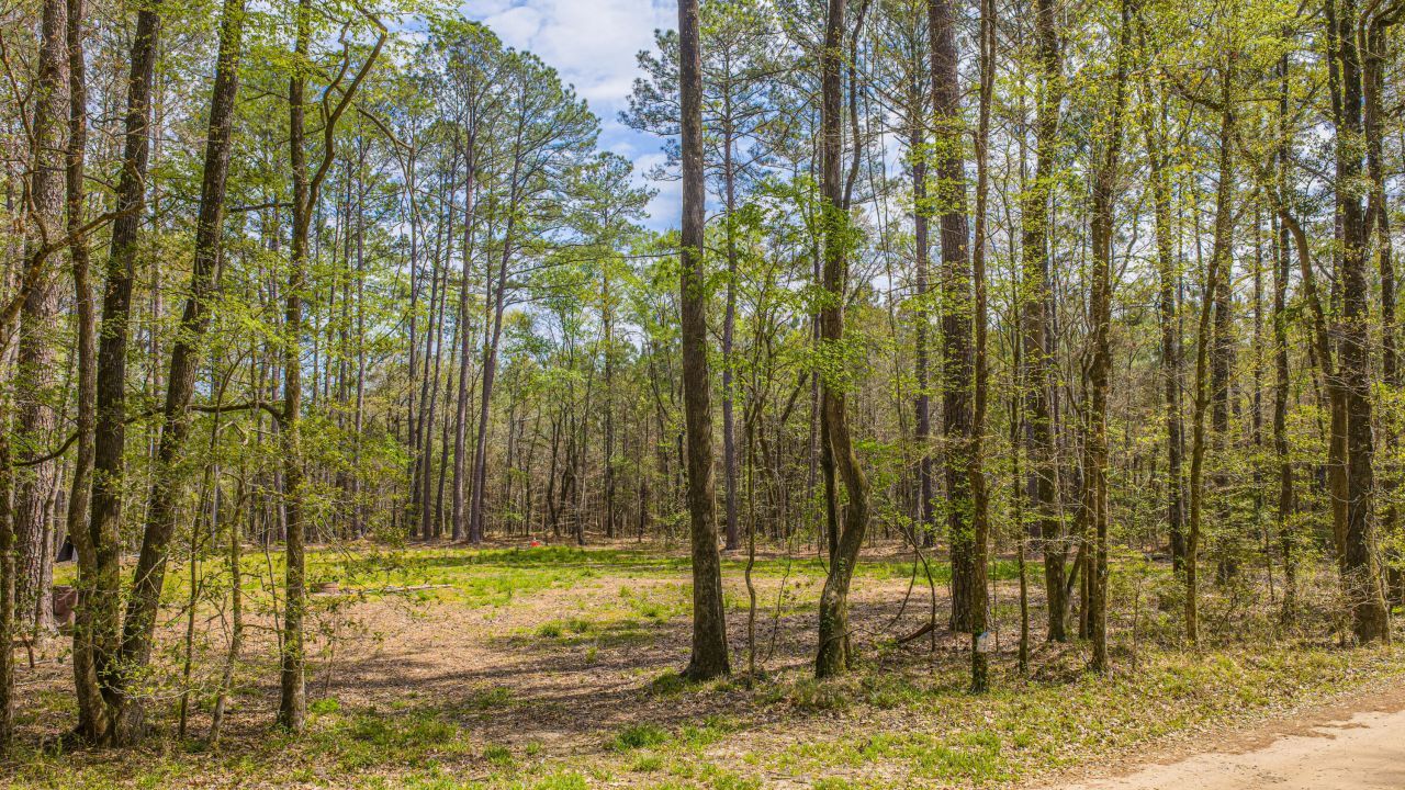 0 Busters Paradise Lane Photo 5