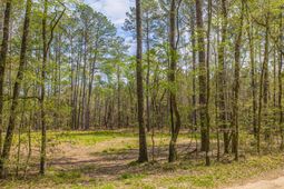 0 Busters Paradise Lane photo 4