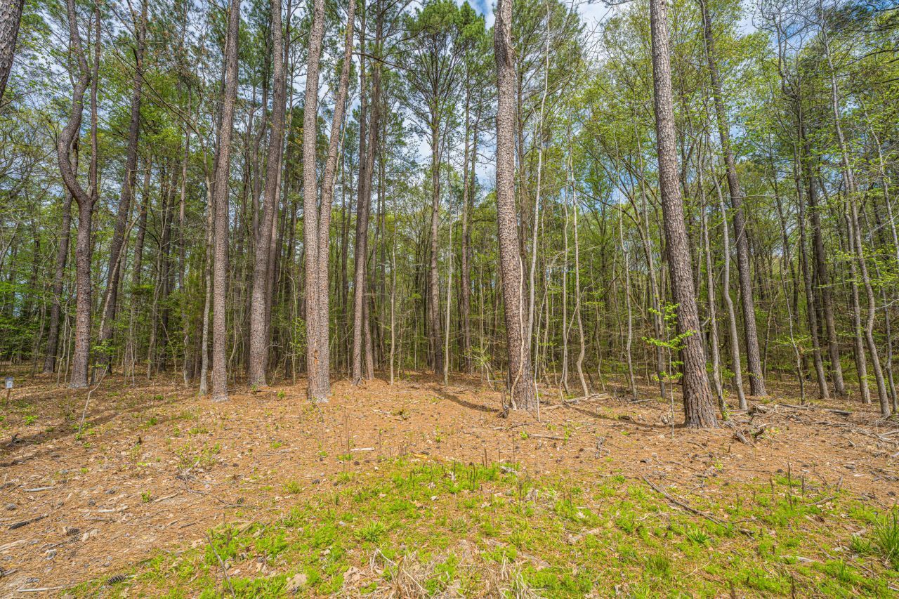 0 Busters Paradise Lane Photo 6