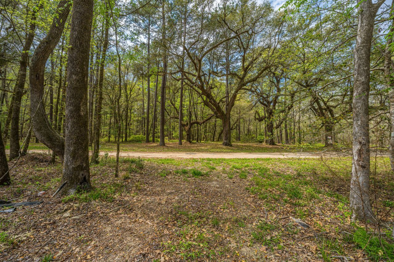 0 Busters Paradise Lane Photo 7