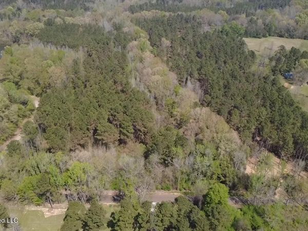 1256 Barnes Rd Road, Canton, MS 39046