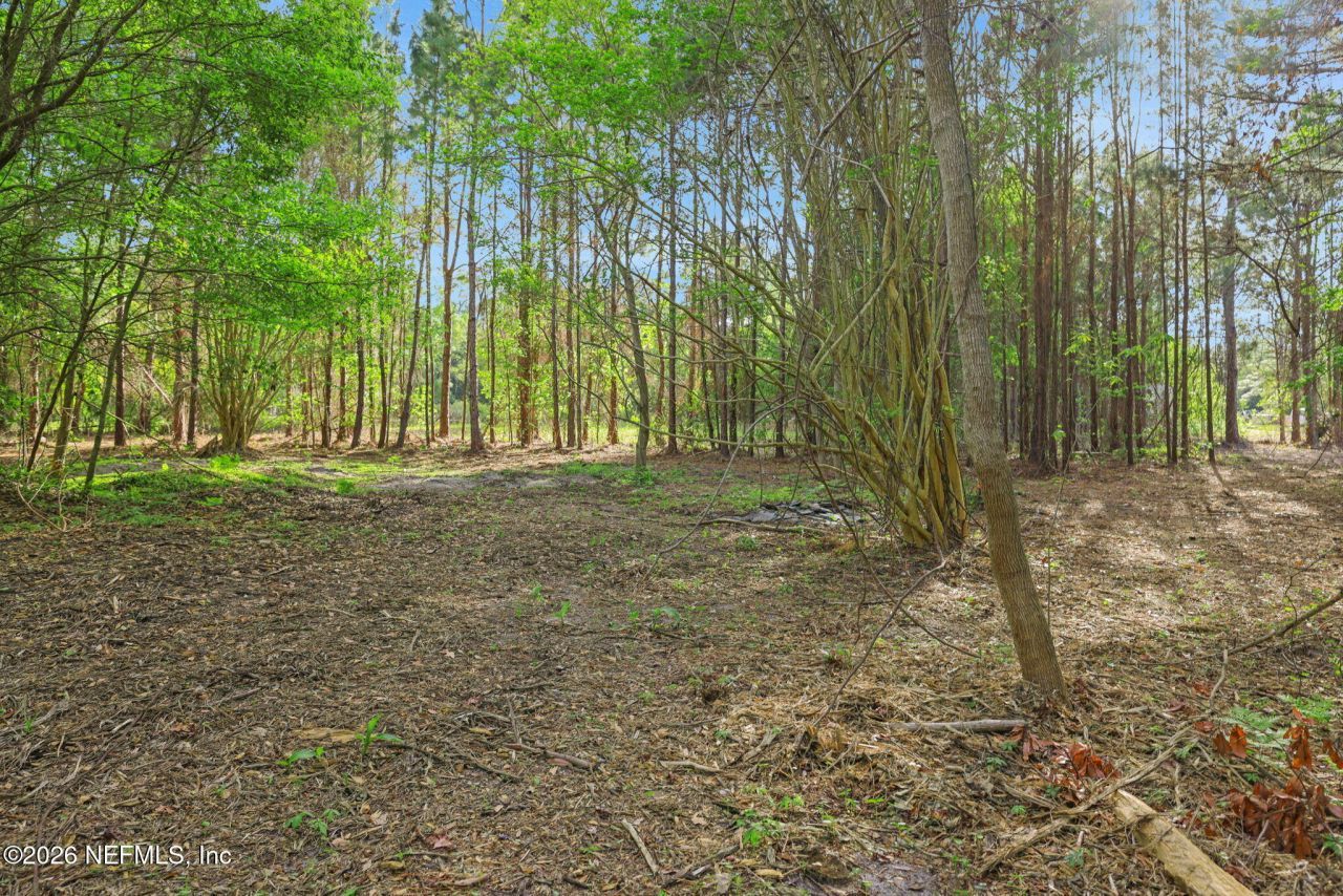 1133 Girvin Road, Jacksonville, FL 32225 Photo