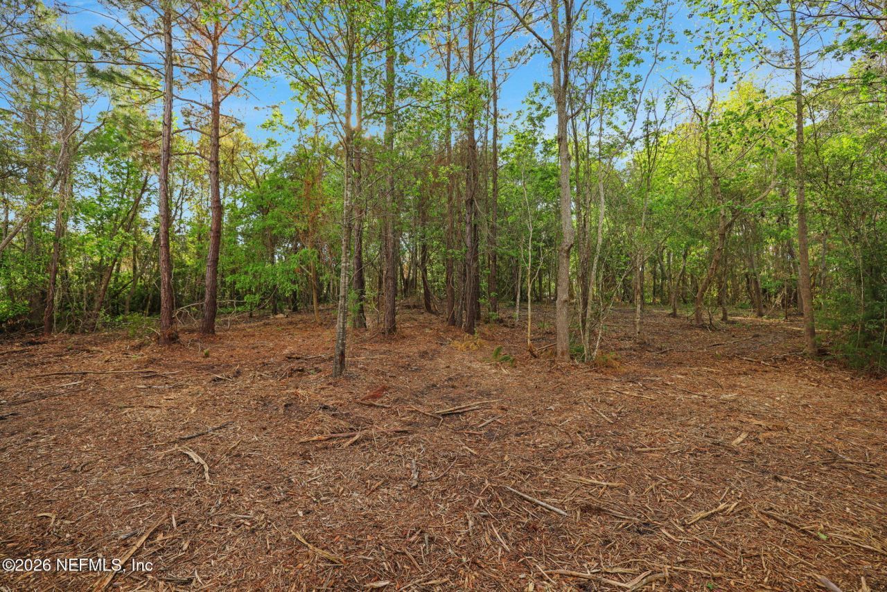 1133 Girvin Road, Jacksonville, FL 32225 Photo