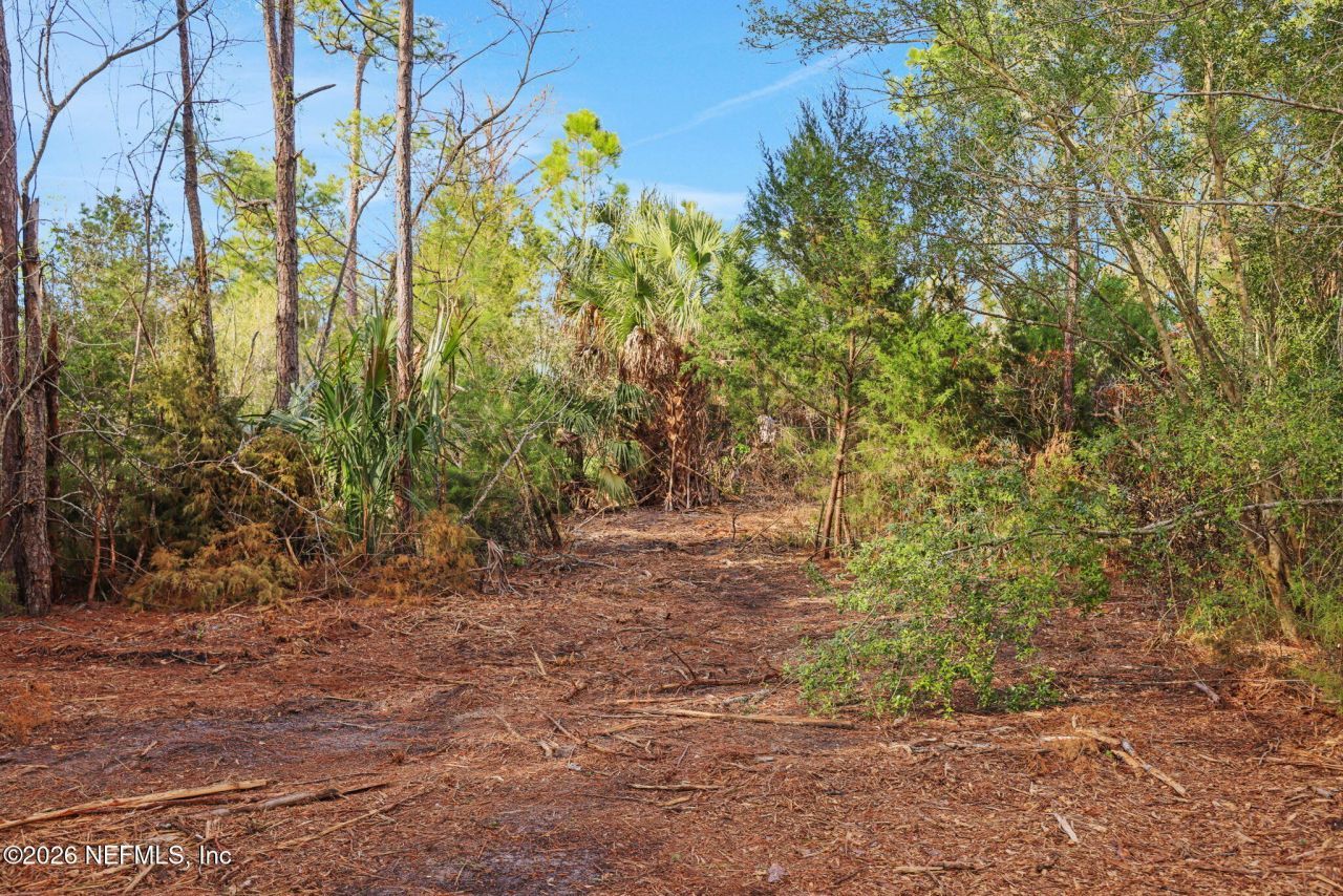 1133 Girvin Road, Jacksonville, FL 32225 Photo